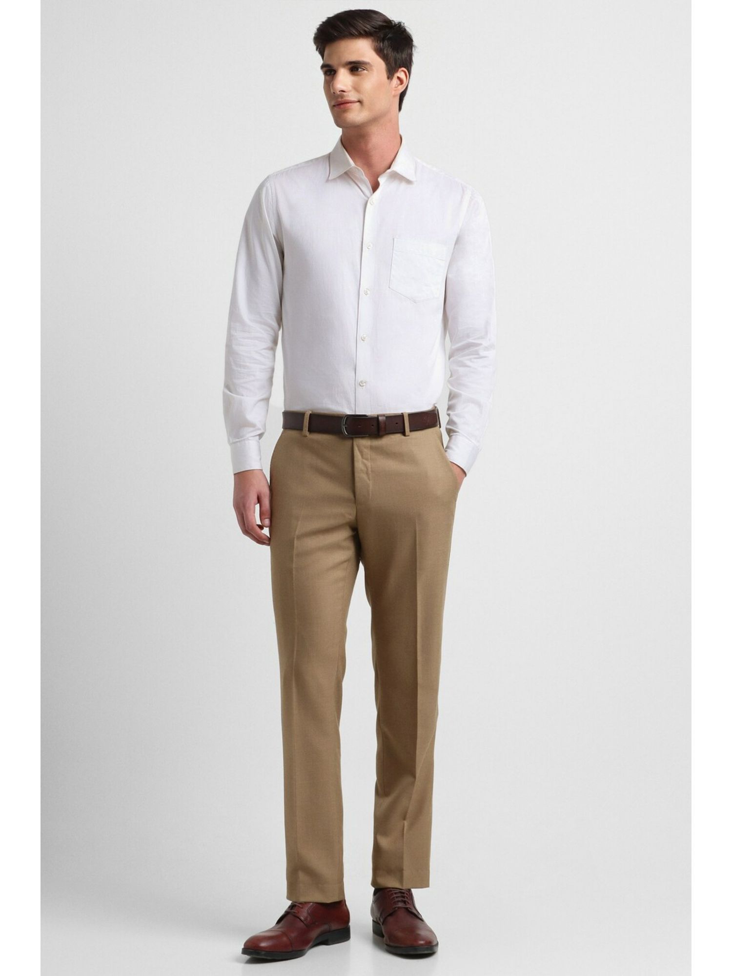 Buy ALLEN SOLLY Solid Polyester Regular Fit Mens Formal Trousers | Shoppers  Stop